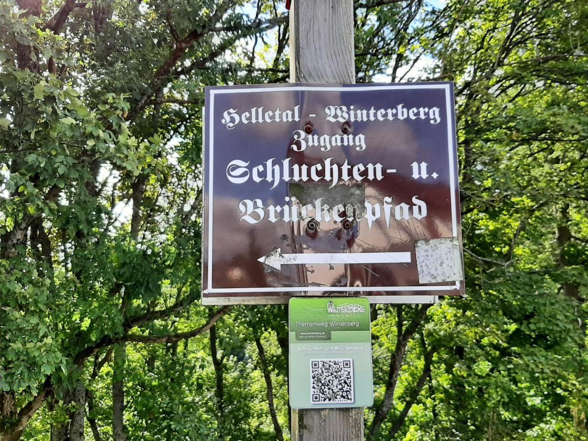 Ferienwohnung Zeitlos, Gigantischer Seeblick, Wlan, Gerne Mit Hund Winterberg Kültér fotó